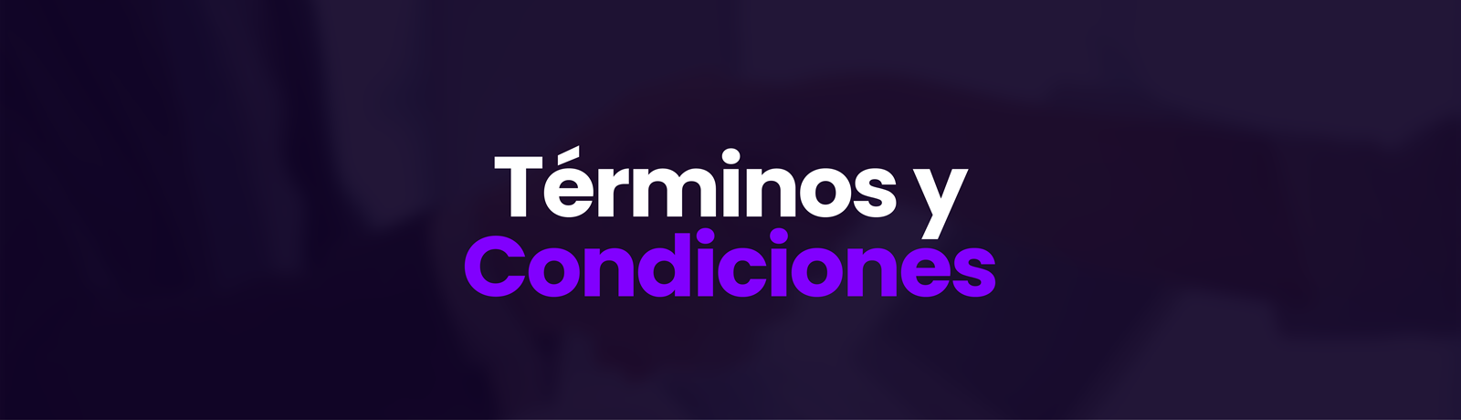 Términos y Condiciones